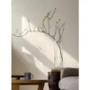 my-11134207-7r98y-lvx59nc70bcgae.webp Locaupin Clear Glass Cylinder Vase Floating Candle Holder Vase Decor Vases Clear Vases for Wedding Decorations