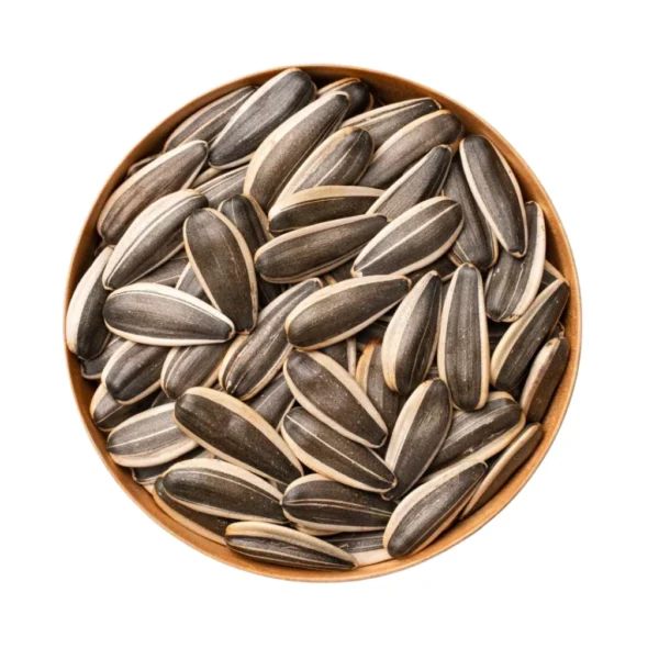 sg-11134201-7reo2-m2c453u9out43c.webp Matahari Sunflower Seeds Flower Plant Seed 20 seeds