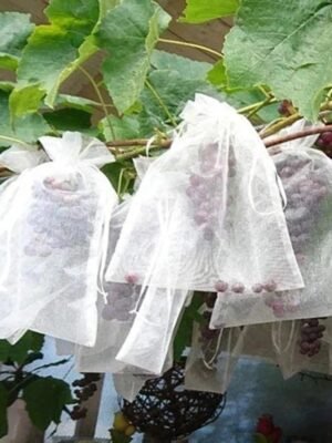 WhatsApp Image 2026-05-05 at 13.12.47 (2) 1pcs Fruit Protection Bags