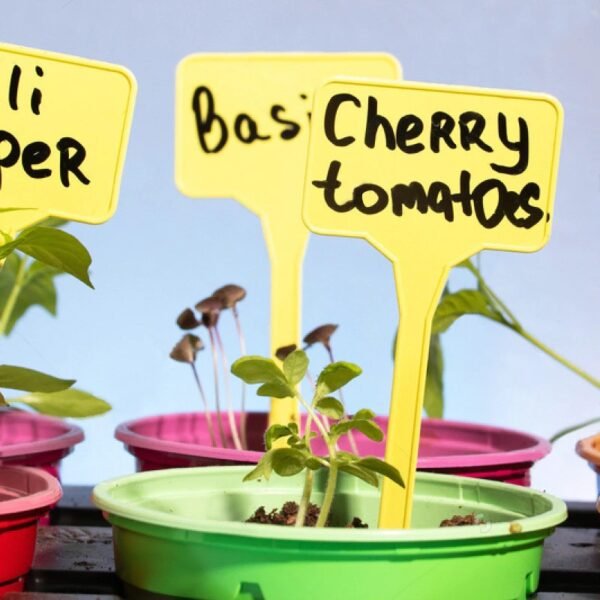 WhatsApp Image 2026-05-05 at 13.12.47 1pcs Garden Tag Random Colour
