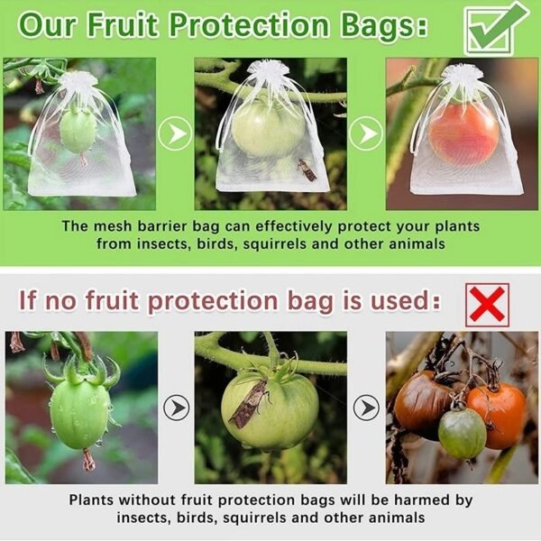 WhatsApp Image 2026-05-05 at 13.12.48 (1) 1pcs Fruit Protection Bags
