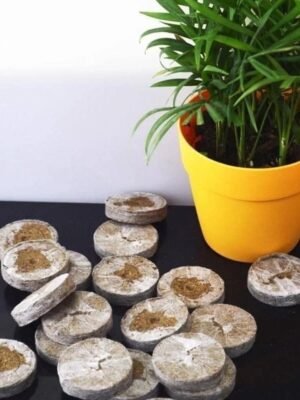 WhatsApp Image 2026-05-05 at 13.12.48 (2) 1pcs Seed Peat Pallet