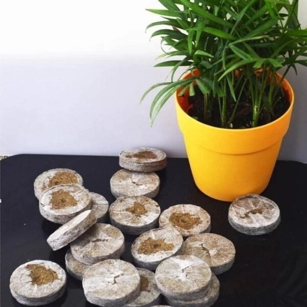 WhatsApp Image 2026-05-05 at 13.12.48 (2) 1pcs Seed Peat Pallet