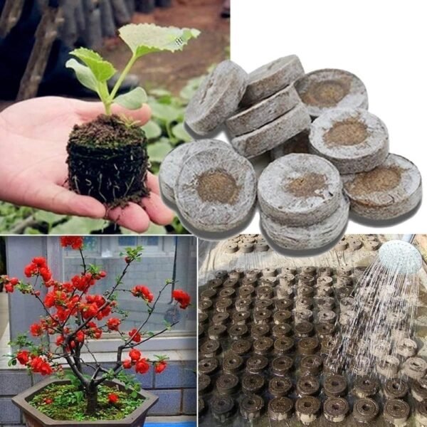 WhatsApp Image 2026-05-05 at 13.12.49 1pcs Seed Peat Pallet